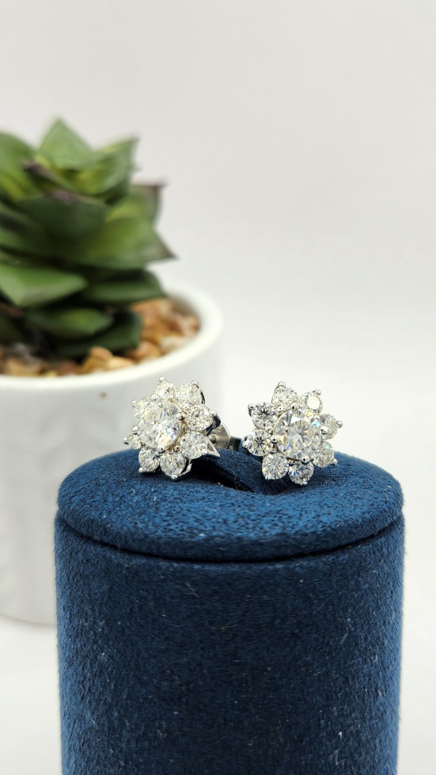 Moissanite Silver Earrings - MYSTIC 7