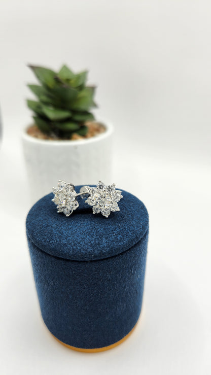 Moissanite Silver Earrings - SHINY