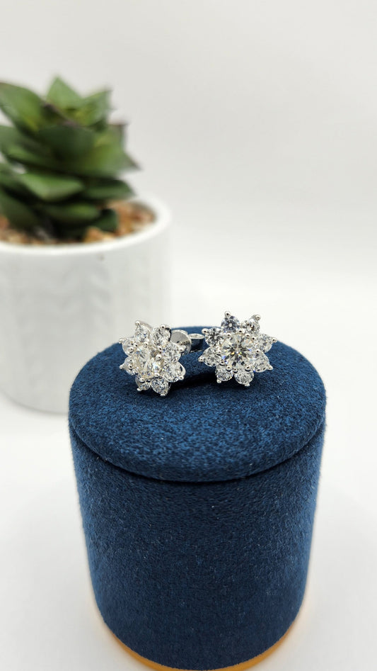 Moissanite Silver Earrings - Shiny