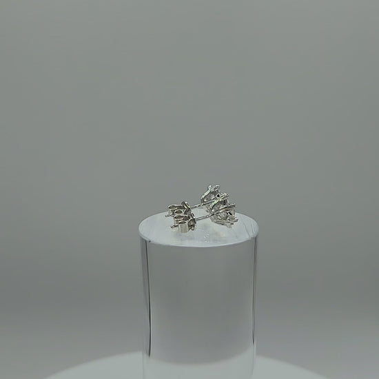 Moissanite_Earrings_Star