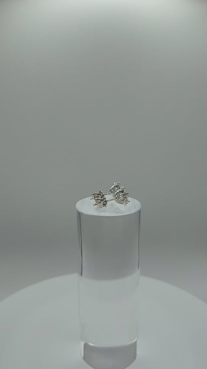 Moissanite_Earrings_Star